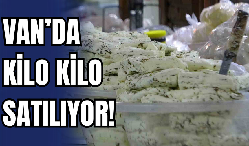Van’da kilo kilo satılıyor! Kimi kalsiyum deposu diyor kimi zararlı!