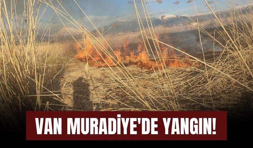 Van Muradiye'de Yangın!