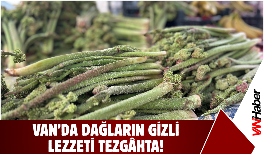 Dağların Gizli Lezzeti Tezgâhta! “Yayla Muzu” İthal Muzdan Daha Pahalı