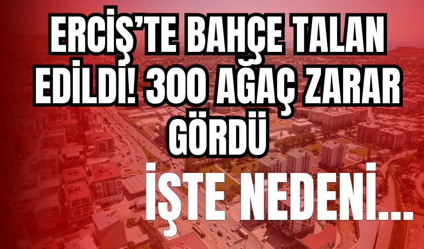 Erciş’te Bahçe Talan Edildi! 300 Ağaç Zarar Gördü
