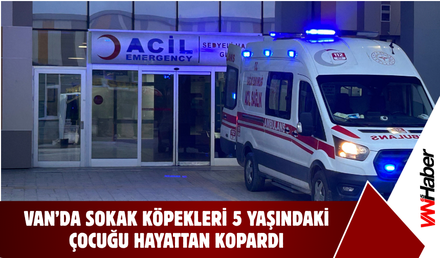 Van’da Köpek Saldırısı: Ölü ve Yaralı Var!