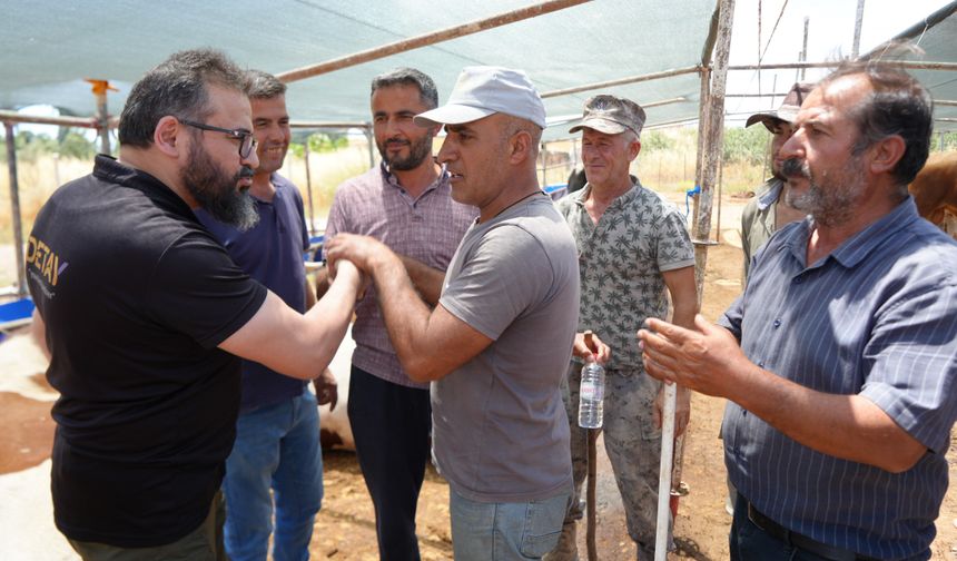 Antalya’daki Kurban Pazarında Vanlı Besicilerin Mesaisi