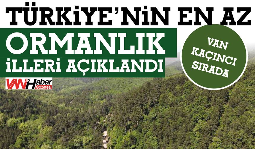Türkiye’nin En Az  Ormanlık İlleri Açıklandı! Van Kaçıncı Sırada