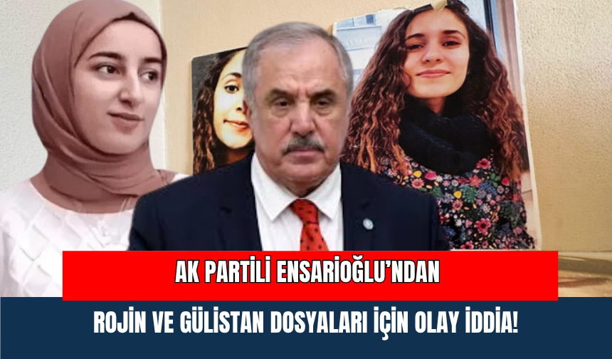 AK Partili Ensarioğlu’ndan Rojin ve Gülistan Dosyaları İçin Olay İddia!