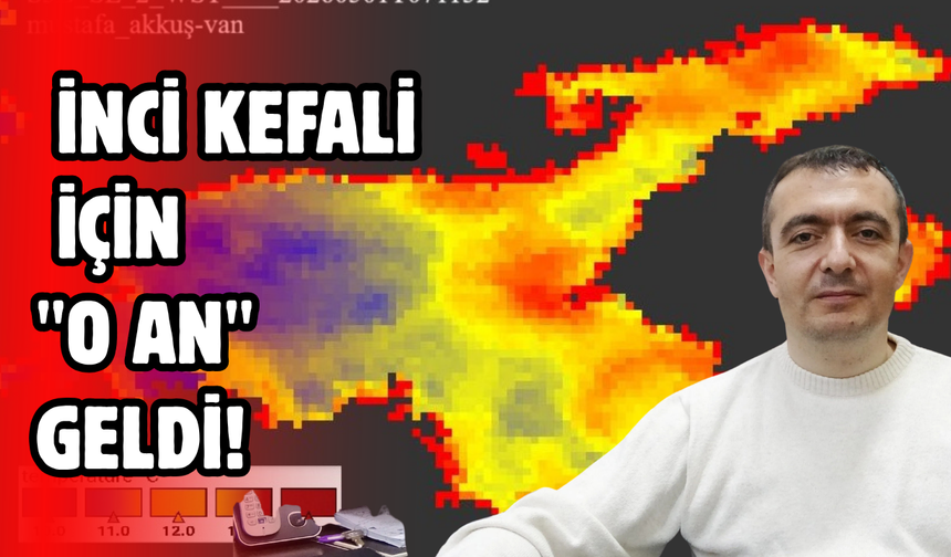 Uzmanı açıkladı! İnci Kefali İçin "O An" Geldi!