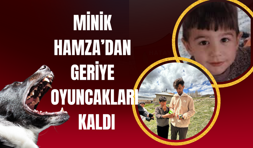 Minik Hamza’dan geriye oyuncakları kaldı