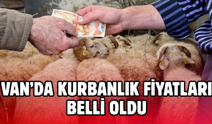 2026 Van Kurbanlık Fiyatları Belli Oldu! Küçükbaş ve Büyükbaş Kaç TL?