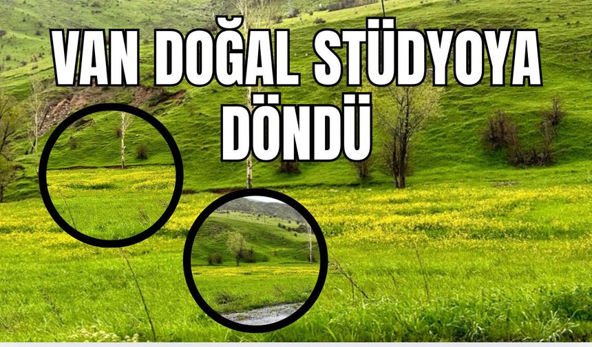 Bunu Gören Van’a Bilet Alıyor! Edremit ve Gevaş Doğal Stüdyoya Döndü!