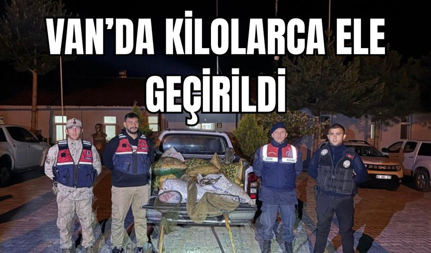 Van’da Avlanması Yasaktı, 630 Kilo Kaçak İnci Kefali Ele Geçirildi