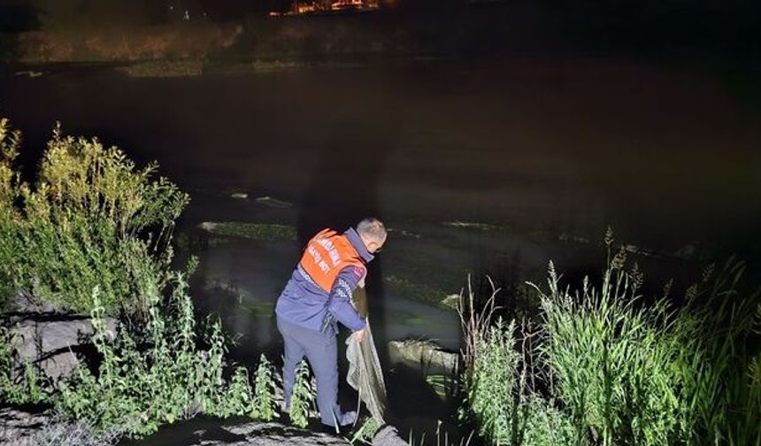 Van’da Kaçak Avcı Operasyonu: 1 Ton Ölü İnci Kefali İmha Edildi