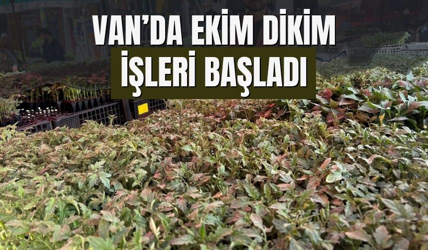 Van’da Ekim Dikim İşleri Başladı