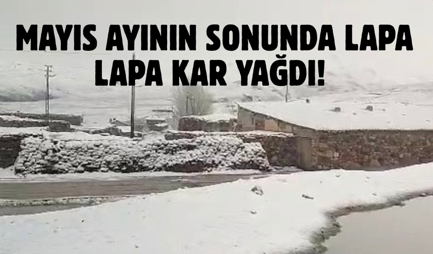 Van'da Mayıs Ayının Sonunda Lapa Lapa Kar Yağdı!