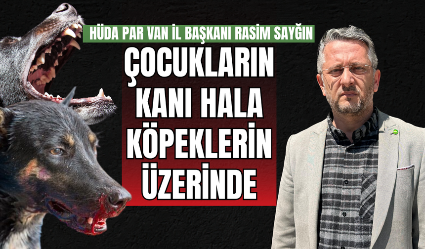 Sayğın: Çocuğa saldıran köpeklerin üzerinde hala çocukların kanı var!