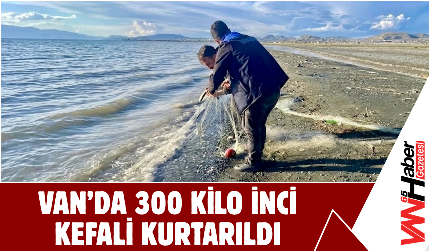 Van Gölü’nde Kaçak Avcılığa Darbe!