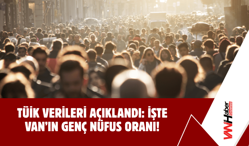 TÜİK Verileri Açıklandı: İşte Van’ın Genç Nüfus Oranı