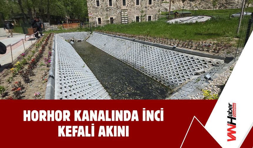 Horhor Kanalında İnci Kefali Akını