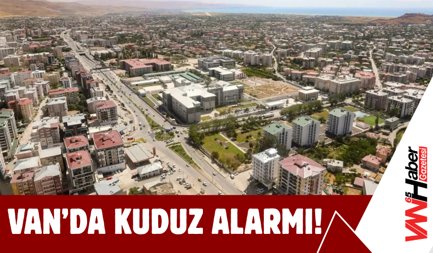 Van’da Kuduz Alarmı!