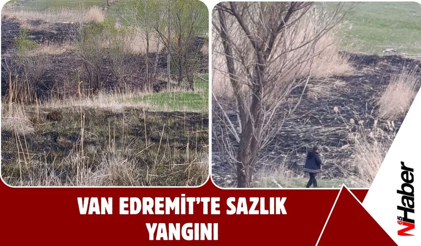 Van Edremit’te Sazlık Yangını!