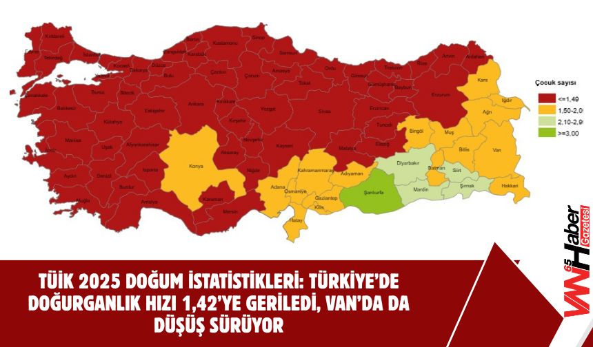 Türkiye’de Doğurganlık Hızı 1,42’ye Geriledi, Van’da Da Düşüş Sürüyor