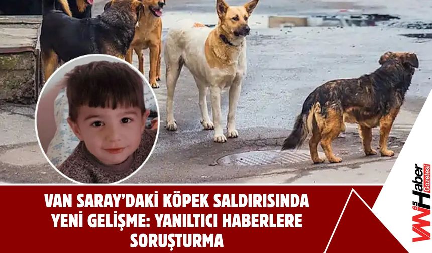 Van Saray’daki Köpek Saldırısında Yeni Gelişme: Yanıltıcı Haberlere Soruşturma