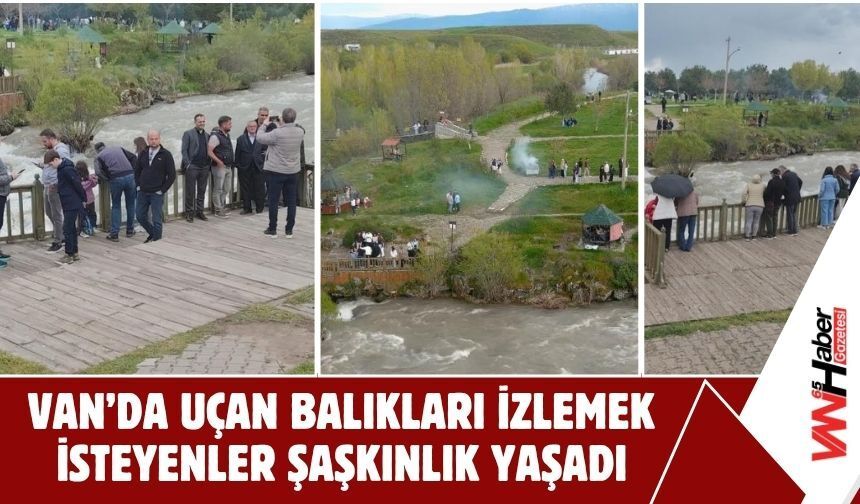 Van’da Uçan Balıkları İzlemek İsteyenler Şaşkınlık Yaşadı!