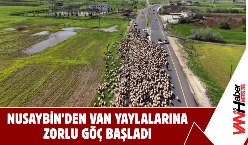 Nusaybin’den Van Yaylalarına Zorlu Göç Başladı!