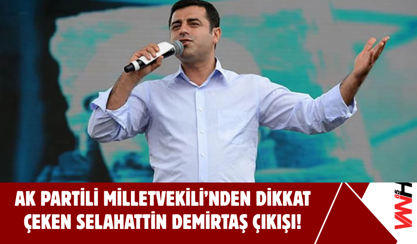 AK Partili Milletvekili'nden Dikkat Çeken Selahattin Demirtaş Çıkışı!