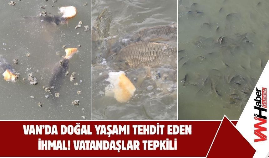 Van’da Doğal Yaşamı Tehdit Eden İhmal! Vatandaşlar Tepkili!