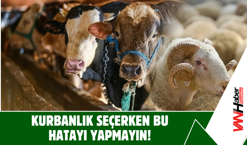 Kurbanlık Seçerken Bu Hatayı Yapmayın!