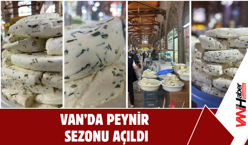 Van’da Peynir Sezonu Açıldı!