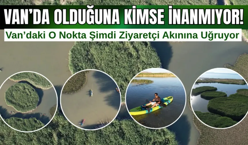 Van'da Olduğuna Kimse İnanmıyor! Dilkaya Deltası