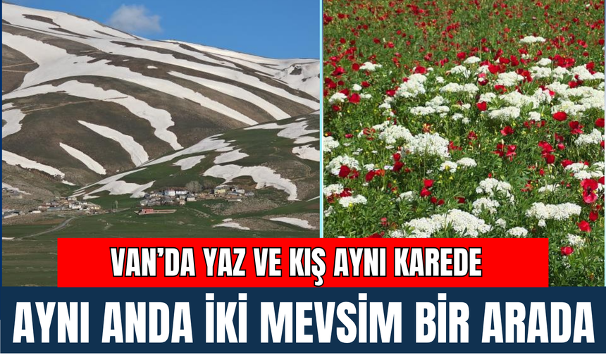 Aynı Anda İki Mevsim Bir Arada