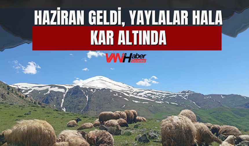Haziran Geldi, Yaylalar Hala Kar Altında