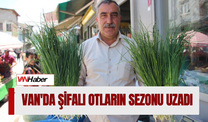 Van'da Şifalı Otların Sezonu Uzadı