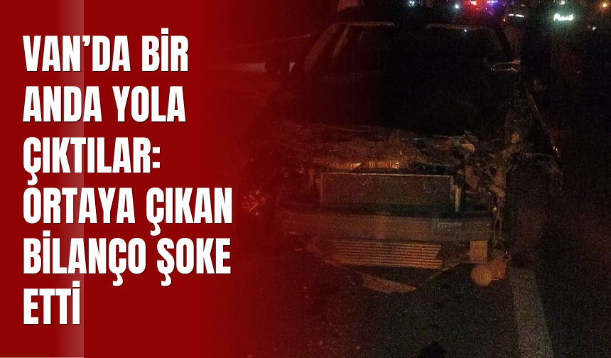 Van’da Bir Anda Yola Çıktılar: Ortaya Çıkan Bilanço Şoke Etti