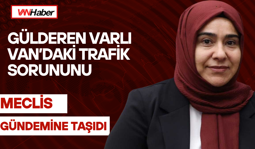 Gülderen Varlı Van’daki Trafik Sorununu Meclis Gündemine Taşıdı