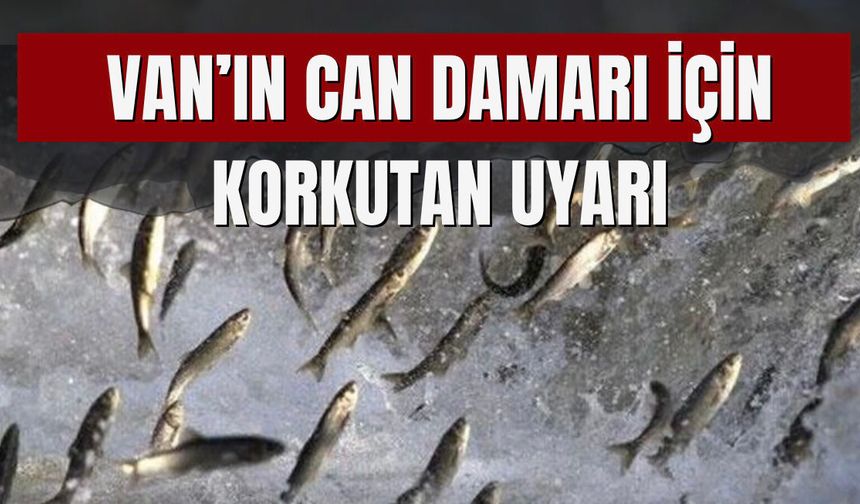 Van'ın 'Can Damarı' İçin Korkutan Uyarı!