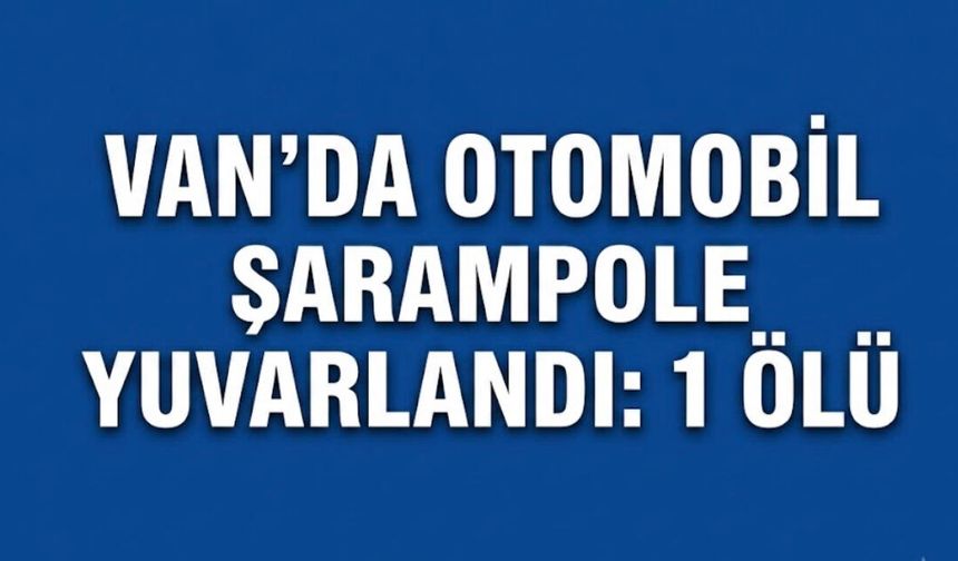 Van'da otomobil şarampole yuvarlandı: 1 ölü