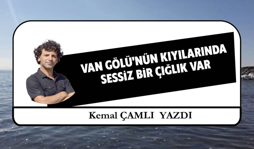 Van Gölü'nün Kıyılarında Sessiz Bir Çığlık Var