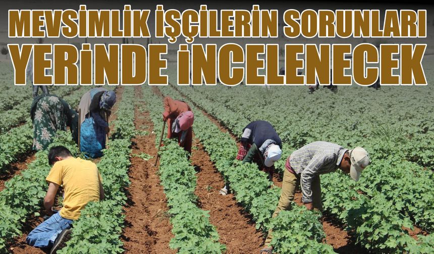 Mevsimlik İşçilerin Sorunları  Yerinde İncelenecek