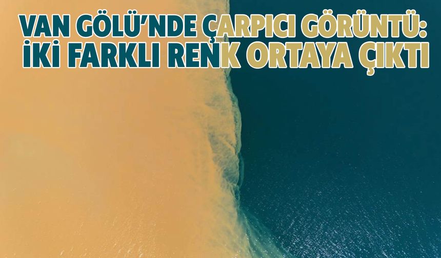 Van Gölü’nde Çarpıcı Görüntü:  İki Farklı Renk Ortaya Çıktı