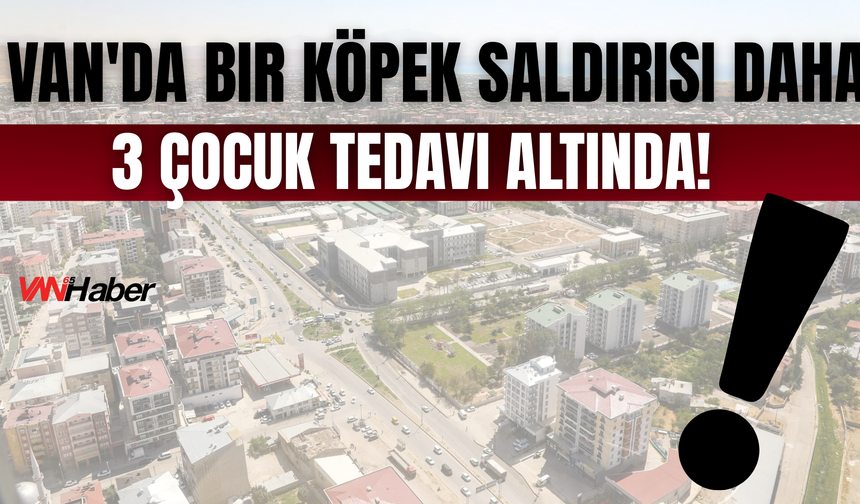 Van Çaldıran'da Köpek Saldırısı: 3 Çocuk Tedavi Altında!