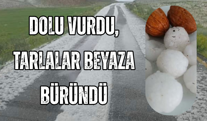 Van’da Ceviz Büyüklüğünde Dolu Yağdı: Tarım Arazileri Zarar Gördü