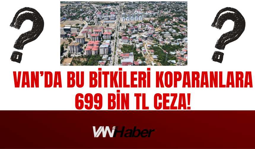 Van’da Bu Bitkileri Koparanlara 699 Bin TL Ceza!