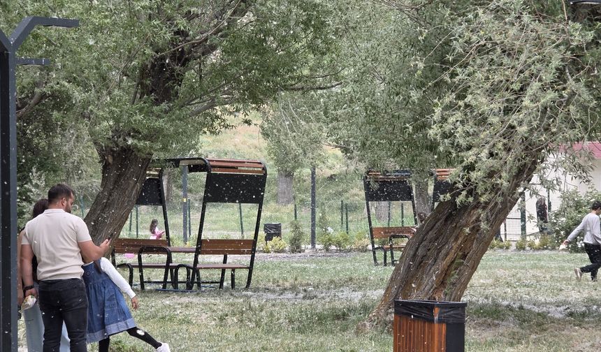 Van'da Bu Kez Kar Değil, Polen Yağdı