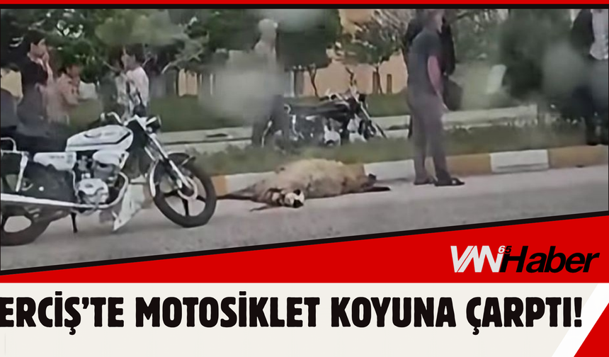 Erciş’te Motosiklet Koyuna Çarptı!