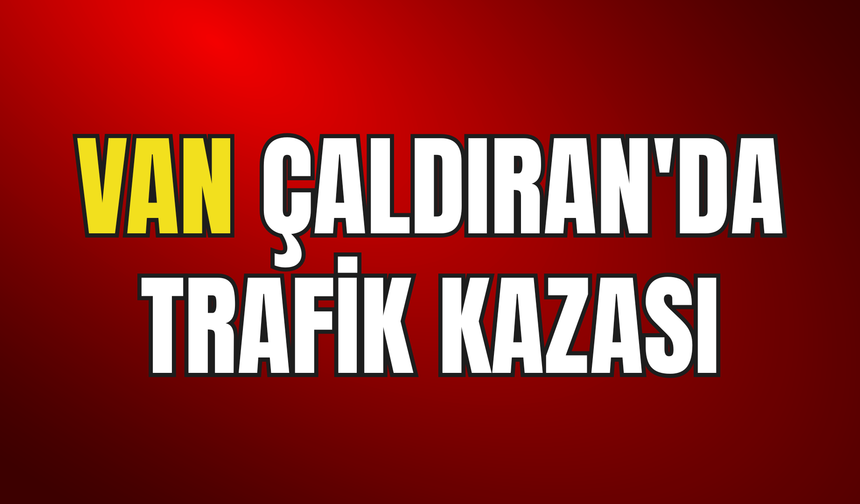 Çaldıran'da Hafif Ticari Araç Elektrik Direğine Çarptı