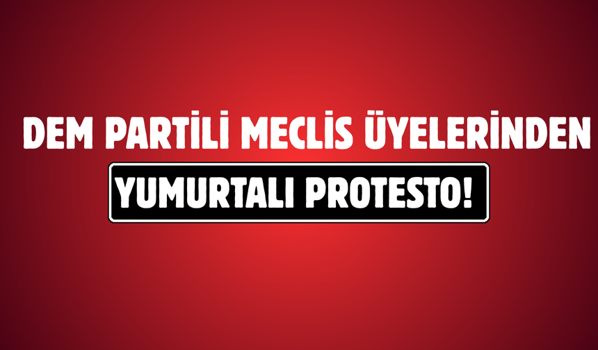 DEM Partili Meclis Üyelerinden Yumurtalı Protesto!