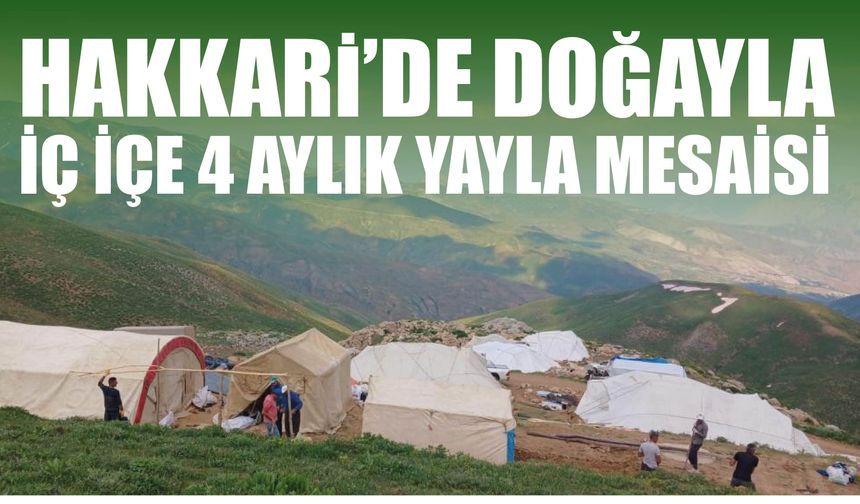 Hakkari'de Doğayla İç İçe 4 Aylık Yayla Mesaisi