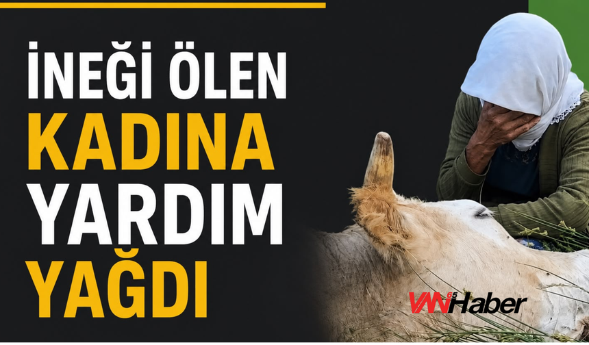 Hakkâri’de İneği Ölen Kadına Yardım Yağdı